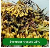 Экстракт Фукуса