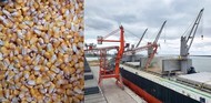 Yellow corn on vessel