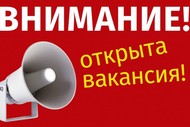 Представитель в РФ и СНГ