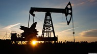 Дизельное топливо, нефть по РФ