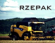 Rzepak w Warszawie