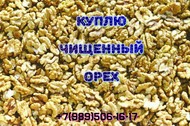 Куплю грецкий орех чищенный