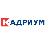 Профессиональный кадровый аудит